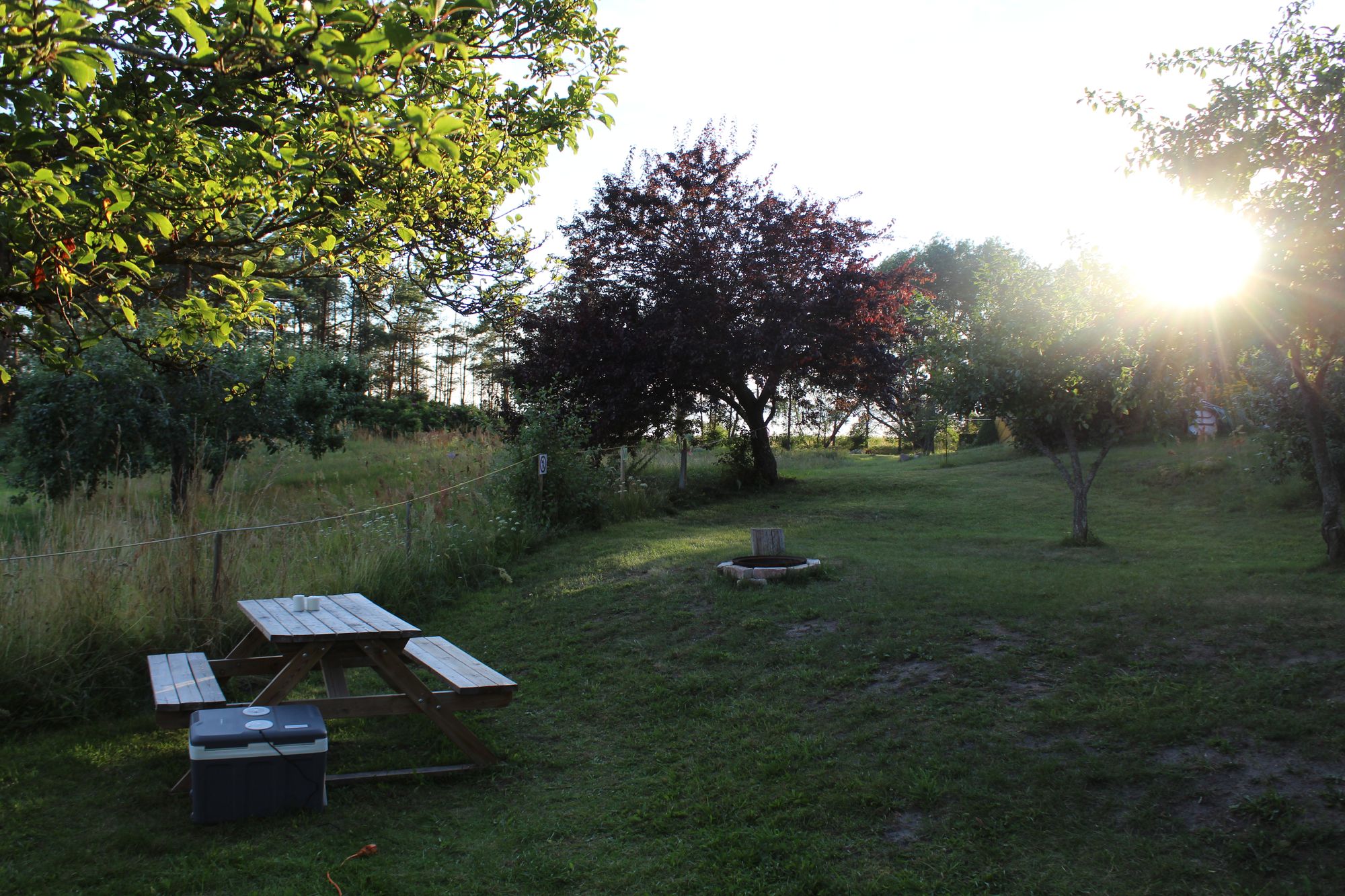 Blick auf den Garten von Camping Rugumi mit Obstbaeumen und Sitz-Gelegenheiten