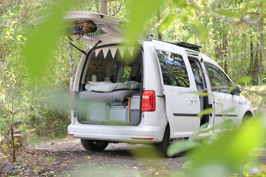 Ausgebauter Caddy mit offenere Heckklappe steht im Wald. 