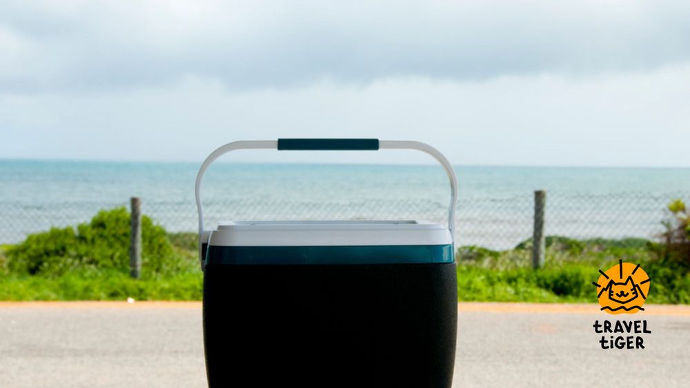 Porträt einer Kühlbox vor unscharfem Meerhintergrund.