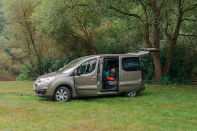 Berlingo steht auf einer Wiese am Waldrand.